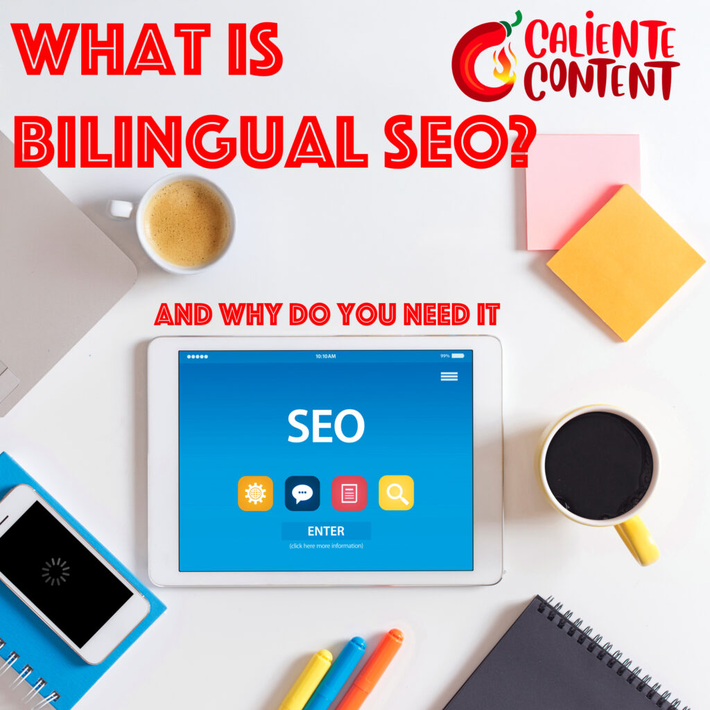 What is Bilingual SEO and why do you need it?